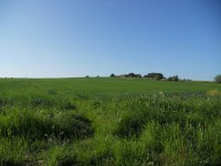 /album/galleria-fotografica/campagna-senese-jpg/